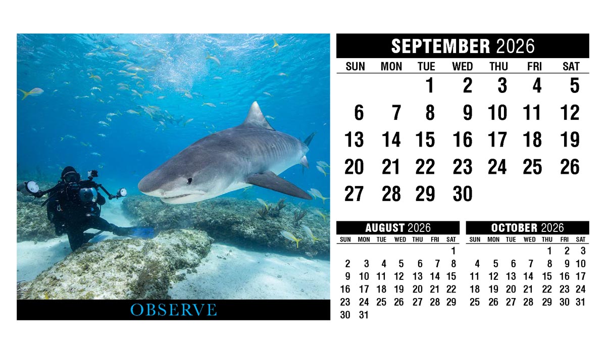 Galleria Motivation Promotional Desk Calendar - 2026